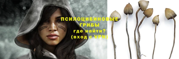 тгк Балабаново