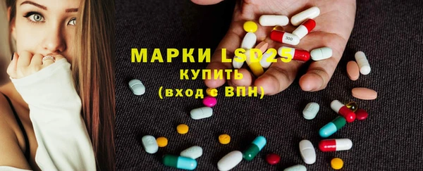 ГАЛЛЮЦИНОГЕННЫЕ ГРИБЫ Балахна