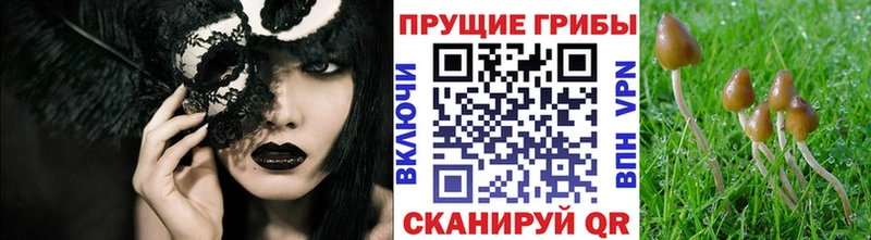 Псилоцибиновые грибы Magic Shrooms Краснокаменск