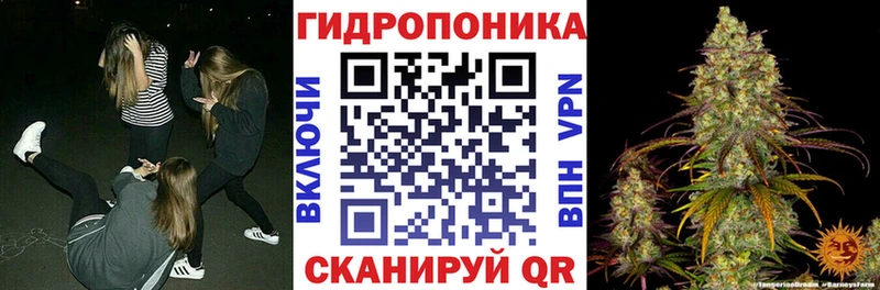 Канабис семена наркотики Краснокаменск